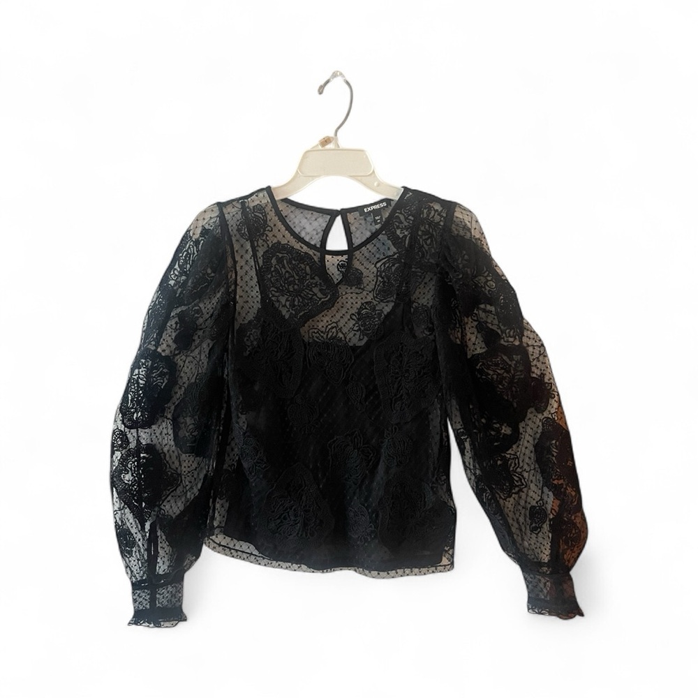 Express Lace Sheer Embroidered Blouse XS Black Long Sleeve Dressy Top - Picture 3 of 5